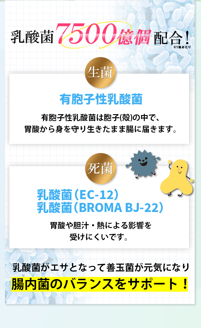 ちょびさん専用：【新品・未開封】めっちゃたっぷりフルーツ青汁6袋 Biesty / めっちゃたっぷり フルーツ青汁の公式商品情報｜美容